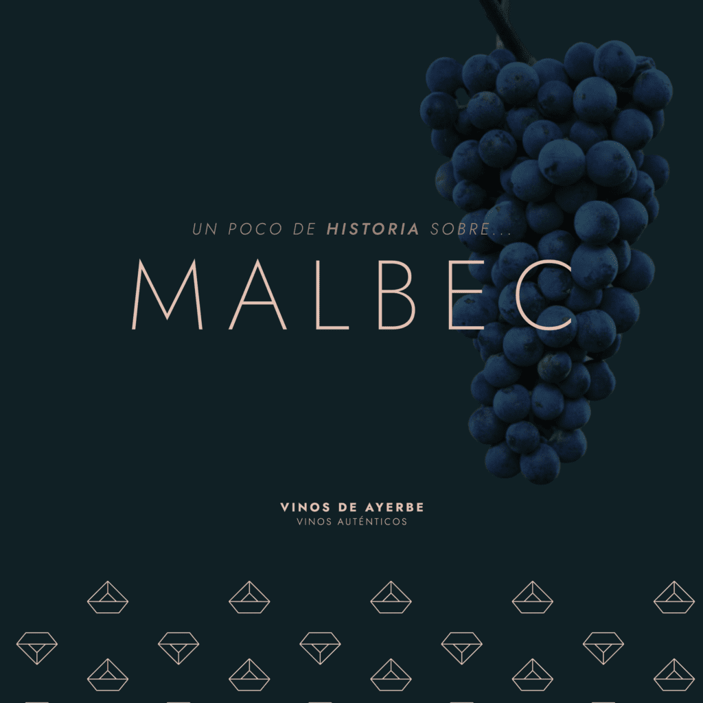 Uva Malbec