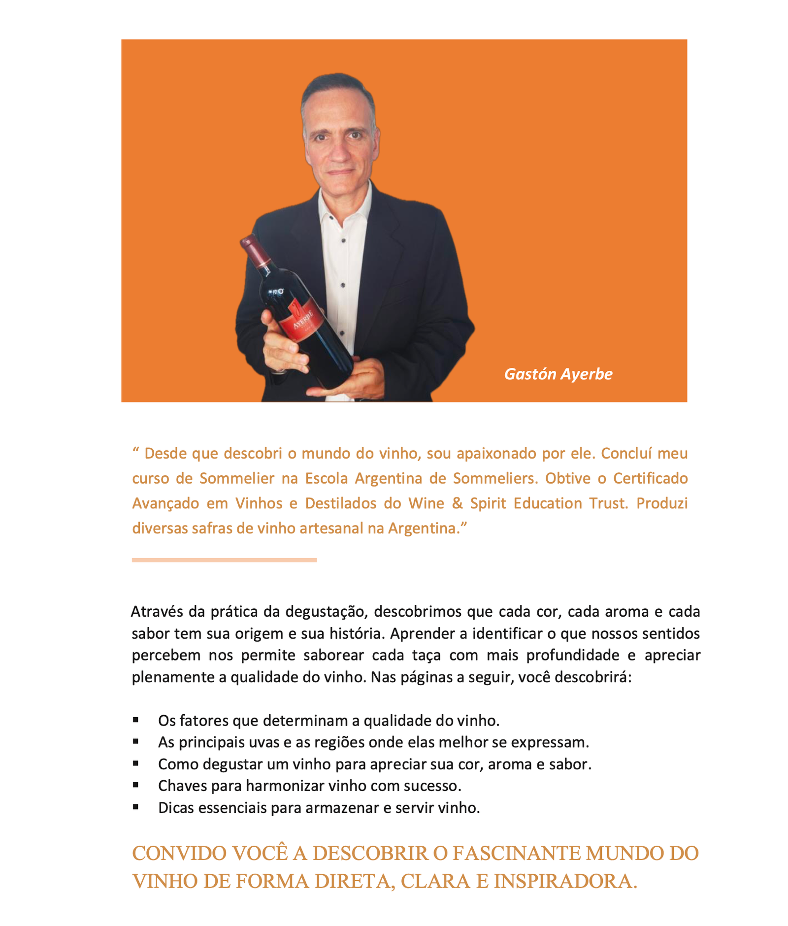 Ebook O Mundo do Vinho Gastón Ayerbe